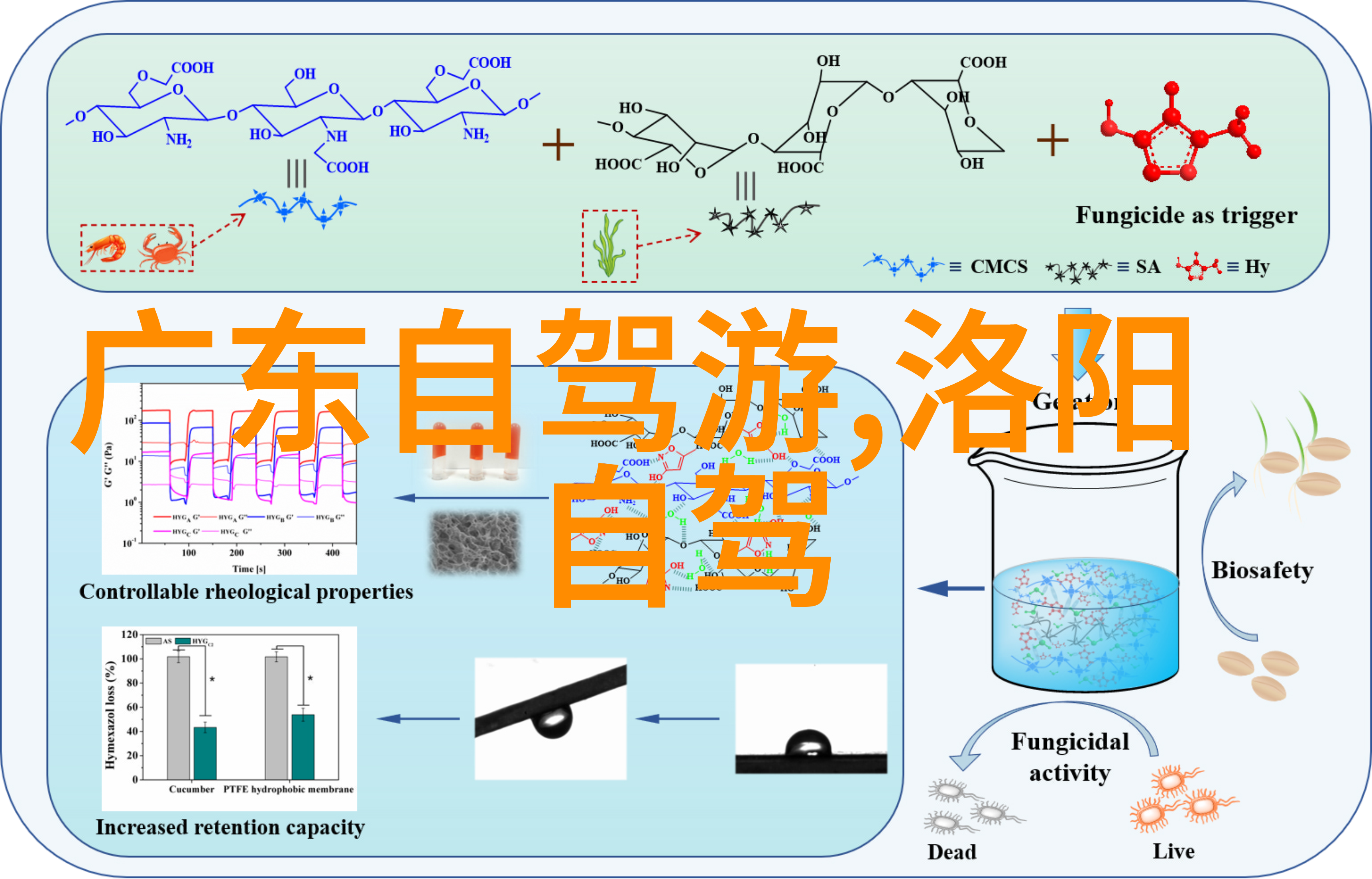 骑行健康路线每日30分钟单车一月成果