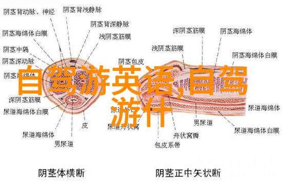 坝上草原自驾游探秘行记