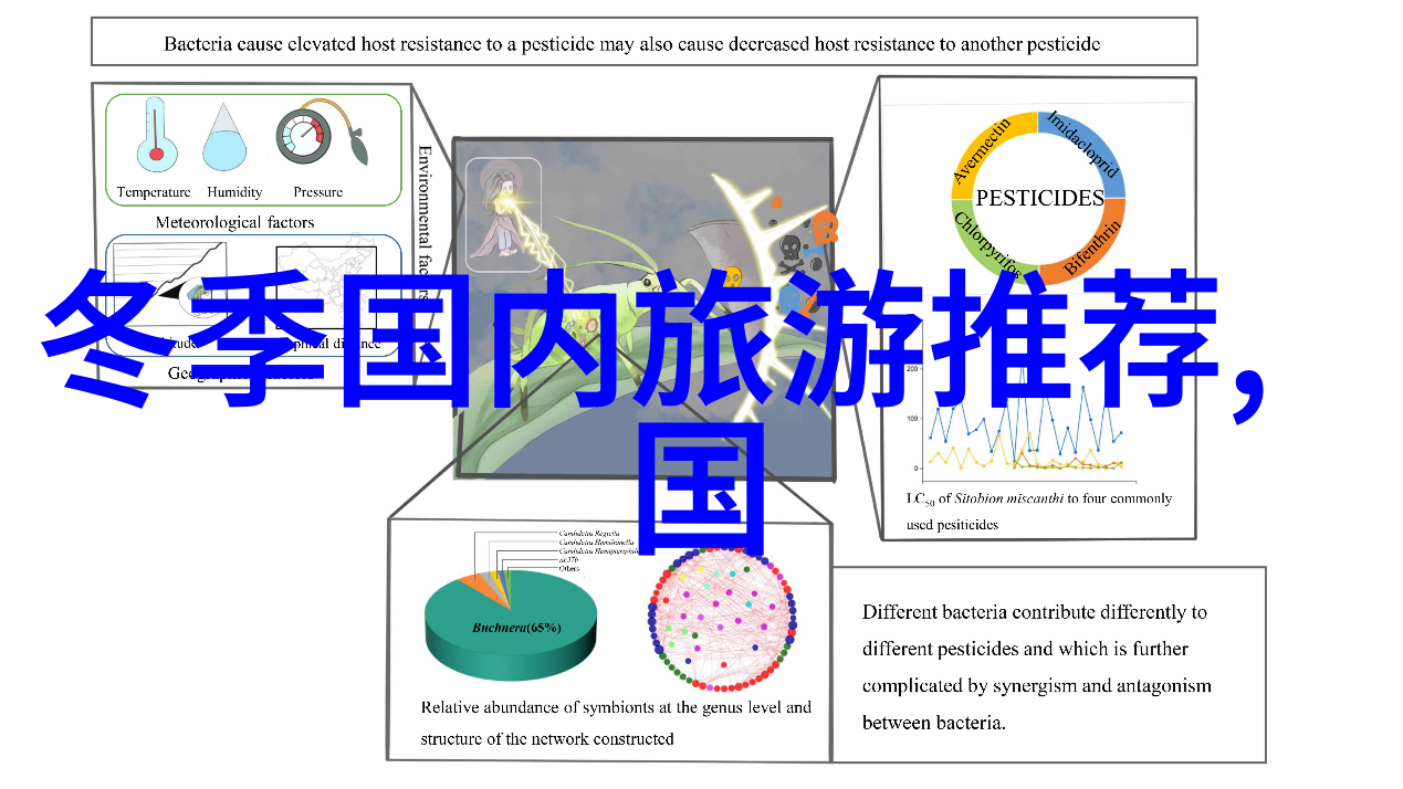 花间小筑娇花的成长之旅