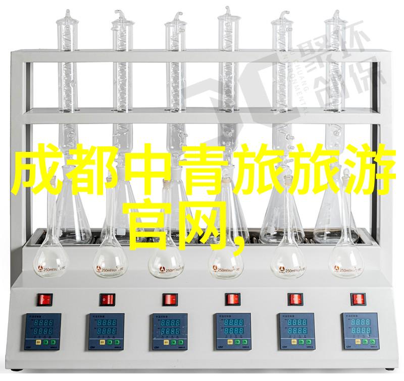 巅峰武者江湖霸主的诞生