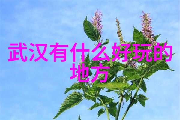 桂林海子湖畔漫步感受自然之美的一日自由行计划