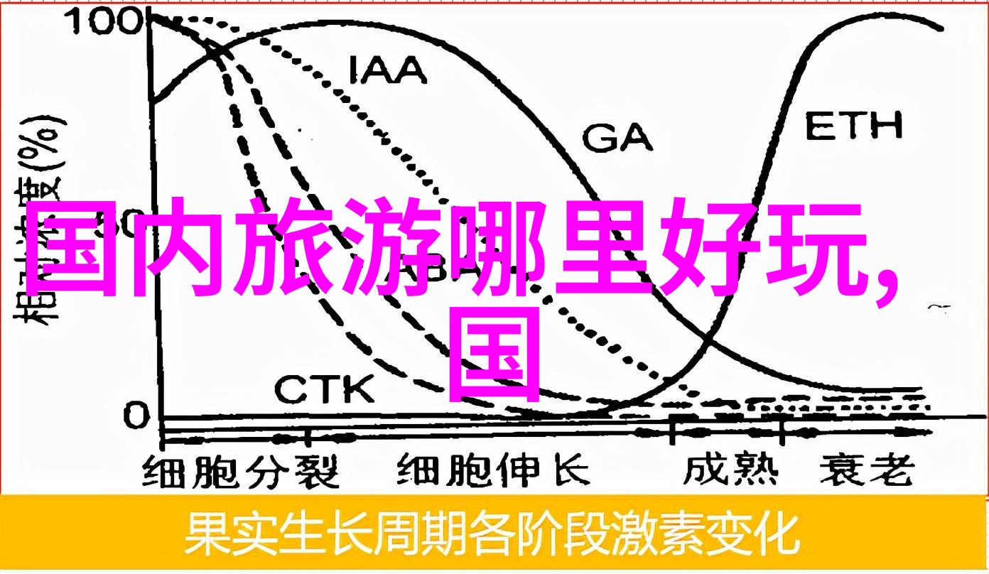 獐岛旅行指南揭秘行程费用与必备预算