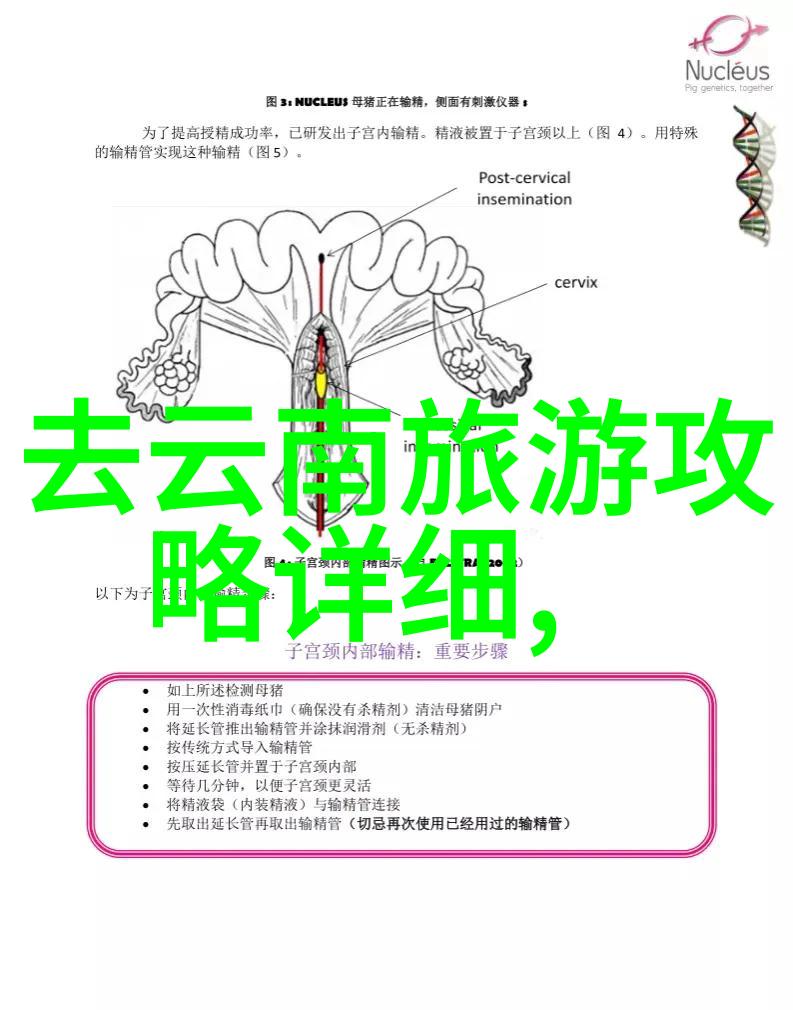 转化挑战为机遇实施翻山越岭的策略与技巧