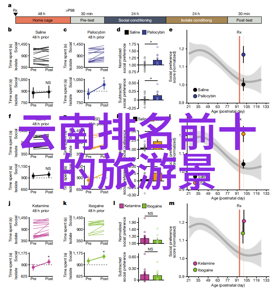 社会联结者很火的一个拍手游戏如何改善社区关系