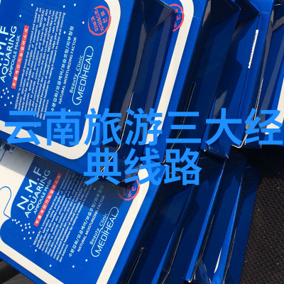 上海美食-探索上海最有名的美食味蕾上的时尚之旅