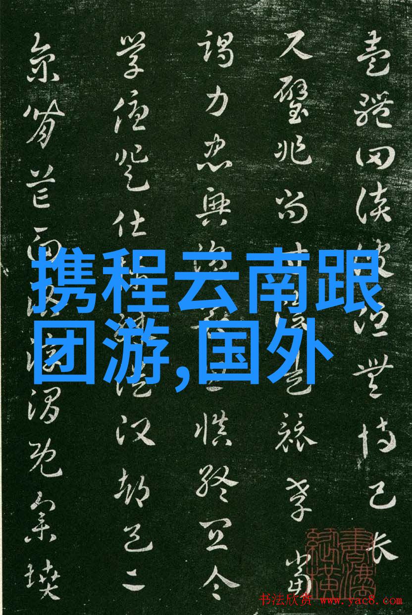 公交车上两个人一前一后攻击我亲眼见证的恐怖通勤背后夹击的惊魂