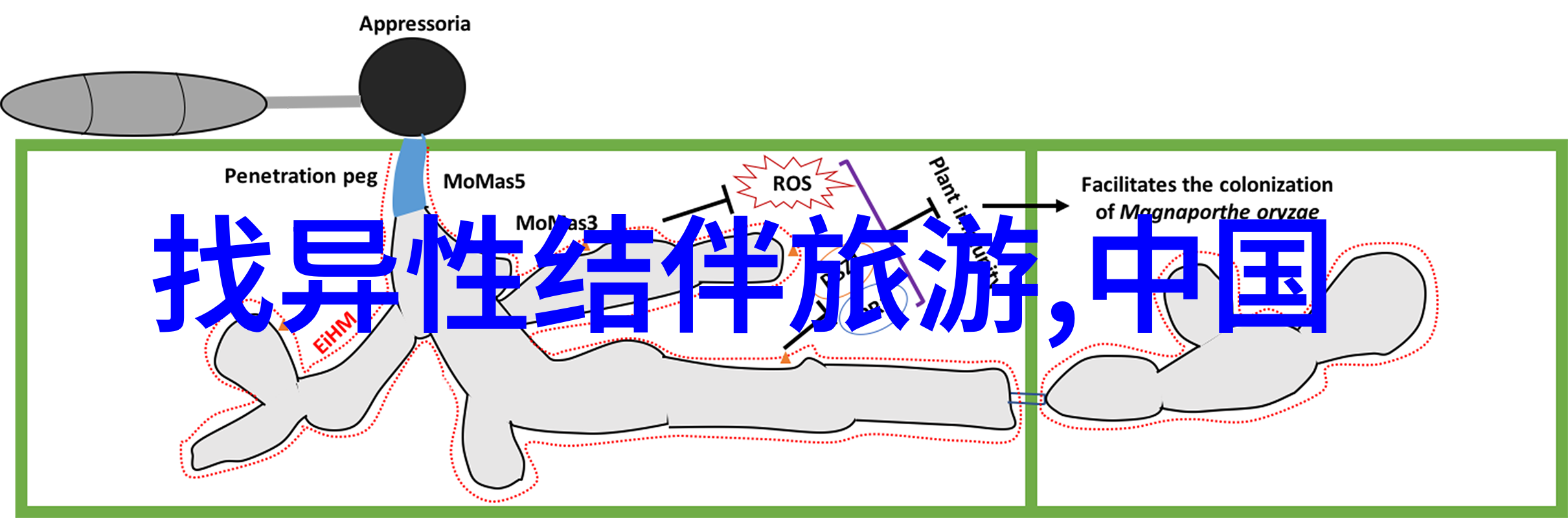 写游记的作文我的旅行日记从一篇篇文字到一段段回忆