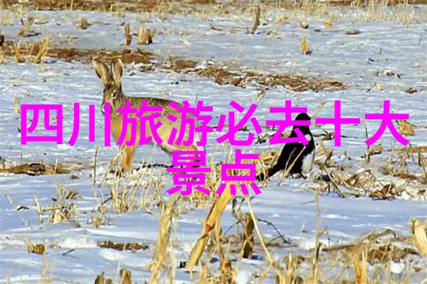 自驾游记从山沟里掉到海边的汽车与我同行的无数笑话