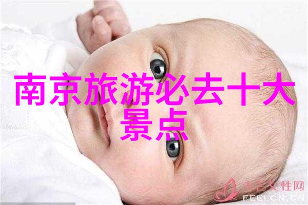 暑假游记作文800字初二我的夏日冒险记