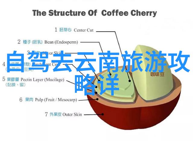 旅游新闻头条最新消息今天探索世界奇观感受文化魅力