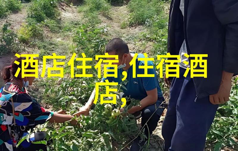 南京美食天堂尝鲜人气推荐餐厅新街口小吃街鼎湖春色中菜村