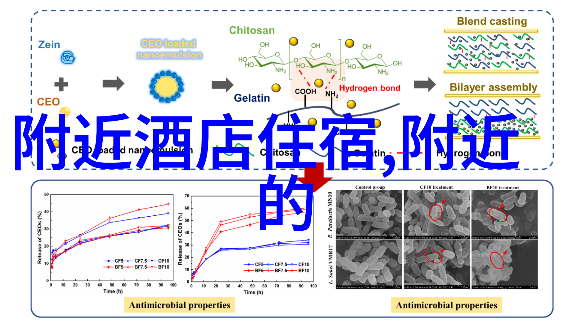 上海美食探索人民广场周边的味蕾盛宴