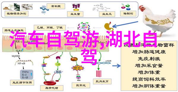 广州自驾游我是如何在广州找到了美食和风景的自驾奇遇