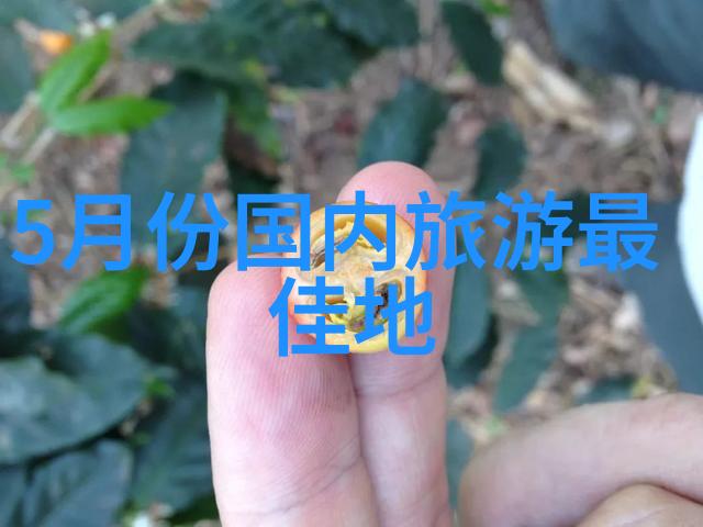 重庆三峡大坝背后的村落一幅温馨的人文景观