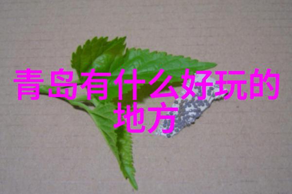 在选择周边自助餐时我们应该如何比较不同菜品质量和价格呢