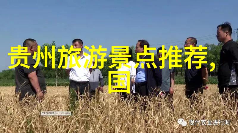 户外教育-探索自然快乐学习50个中班户外活动游戏