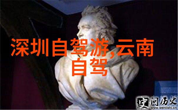 2021年出国旅行的现状国际旅游政策更新