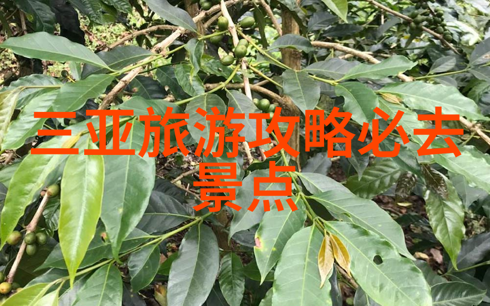 游记作文400字左右四年级下册我的小蜜蜂之旅