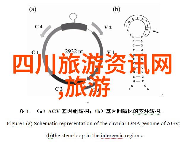 北京骑行探索精选路线与景观赏析