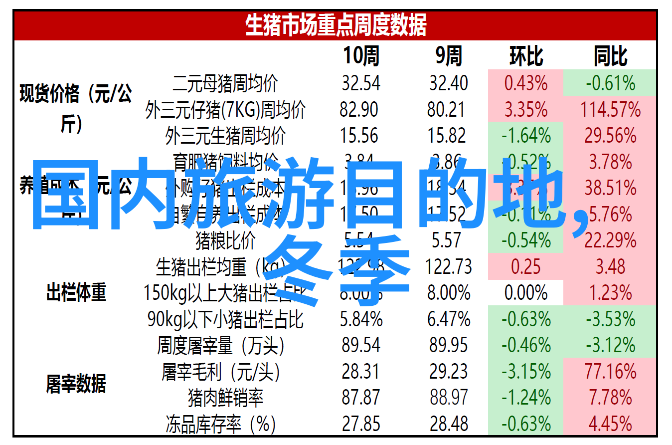 寒风中的遥望一月的旅行之冠