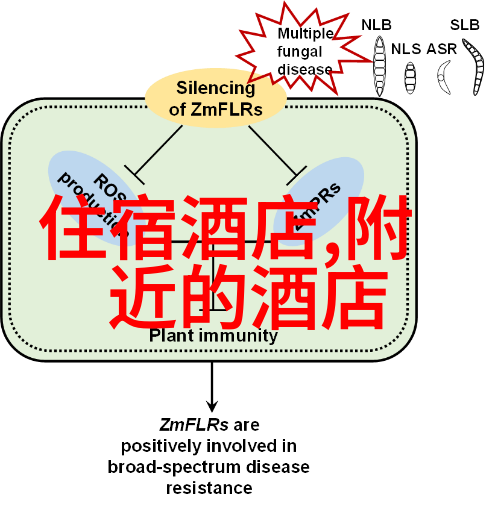 2022年全球3月解封 - 世界逐步重启2022年3月解封的新篇章