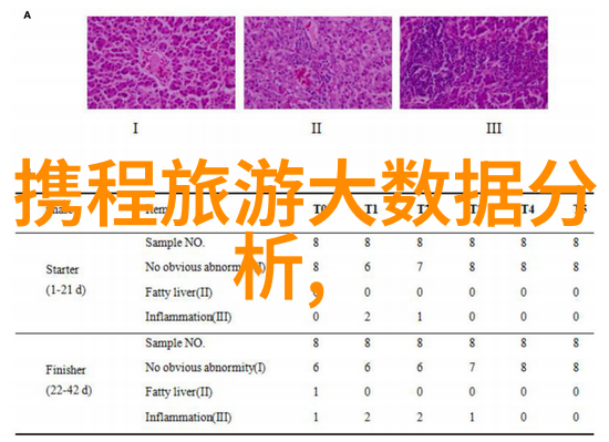 波多野结衣下载深度探索日本AV界的传奇女星