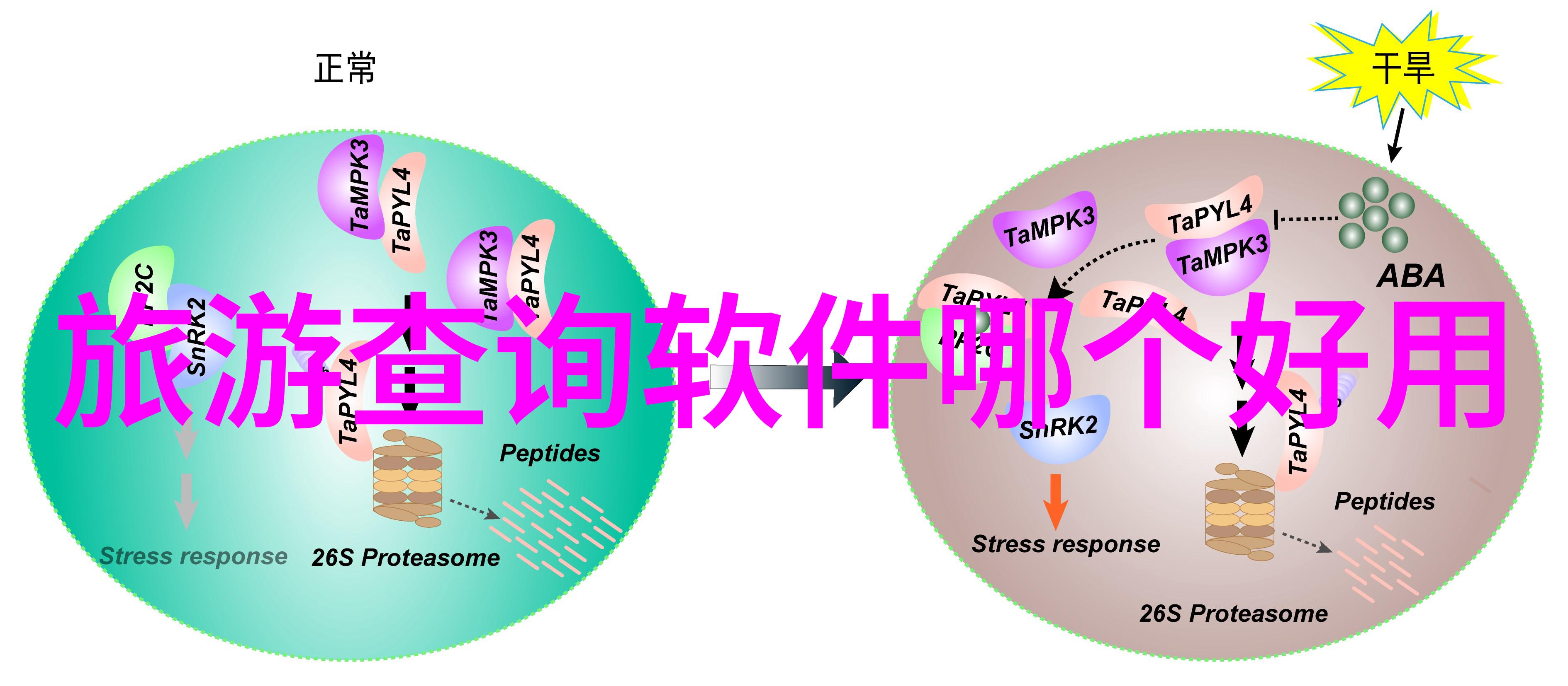 曲阜住宿攻略选择合适的住宿方式探索山东省的文化古城