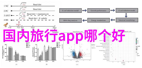 甜点爱好者的心头好上海哪些甜品堪称绝唱