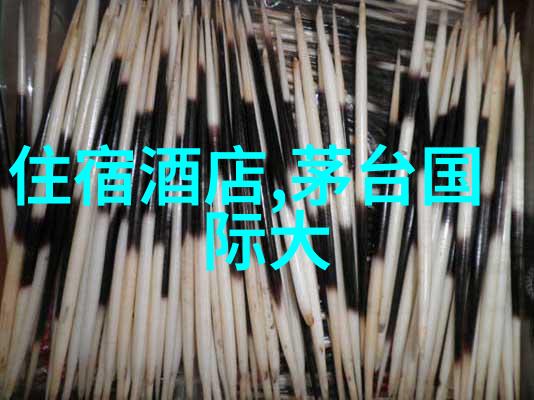 泉州西街住宿攻略揭秘古韵风情中的最佳住宿选择