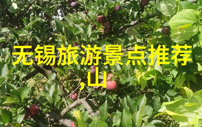 追逐风景享受自由最火骑行App软件评测