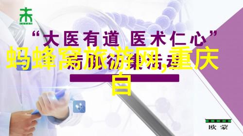 探索童年乐园幼儿园小班户外活动的多样化篇章