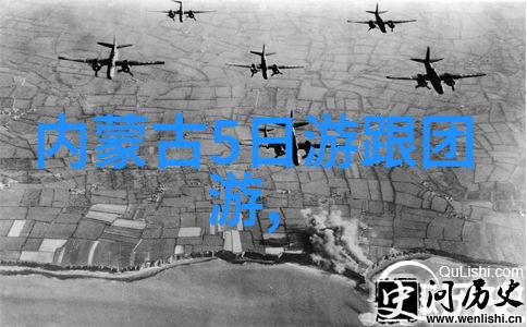 户外活动组织与流程户外团建规划户外运动安排野餐策划步骤露营准备指南