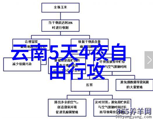 新疆美食之旅品尝丝路上的特色美味