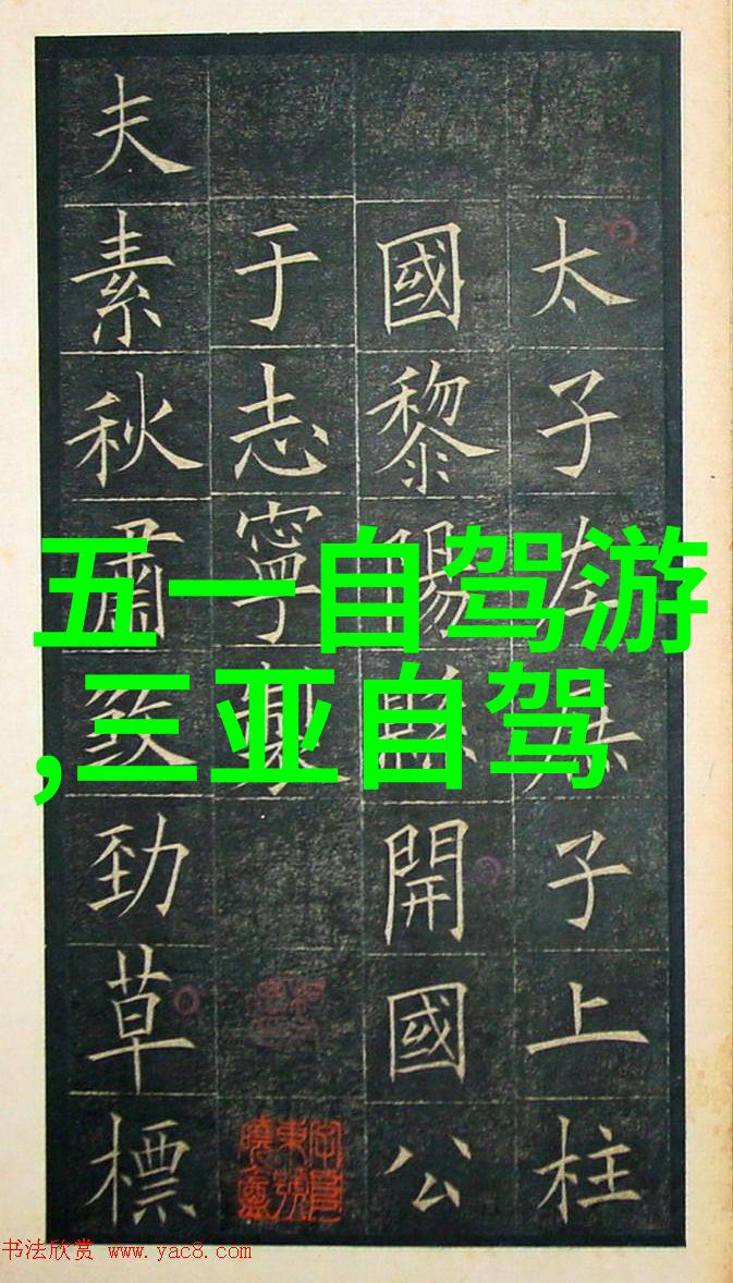 骑行减肥效果从汗水中解锁新生活的秘密