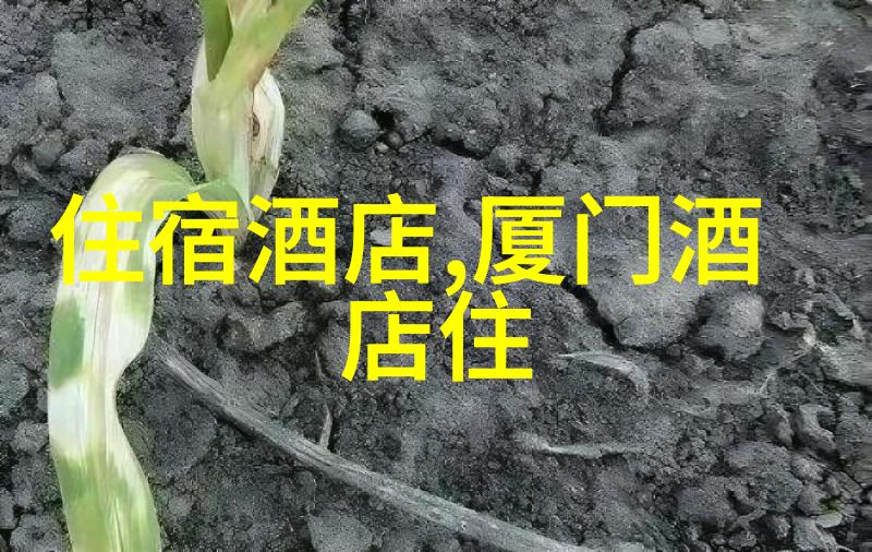 骑行群真的很乱吗-城市道路上的骑行混战揭秘骑行群的真相