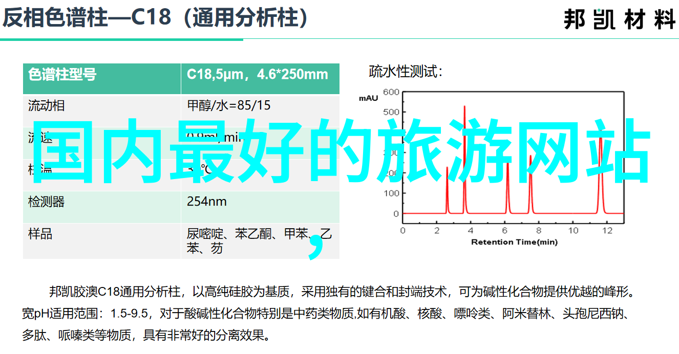 探索龙的涌动上海自驾游之旅