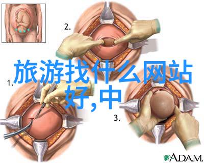 中外合作大学 - 跨文化共创中外合作大学的创新教育模式