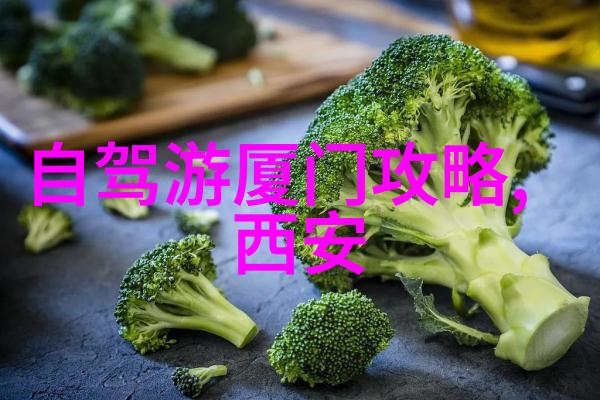 公路自行车最佳坐姿 - 车速达人掌握正确的骑行姿势