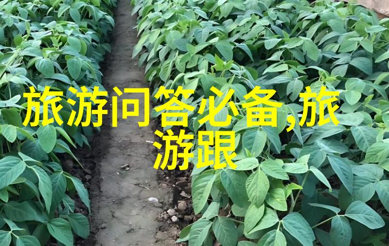 探秘未知游记600字优秀作文的奇妙世界