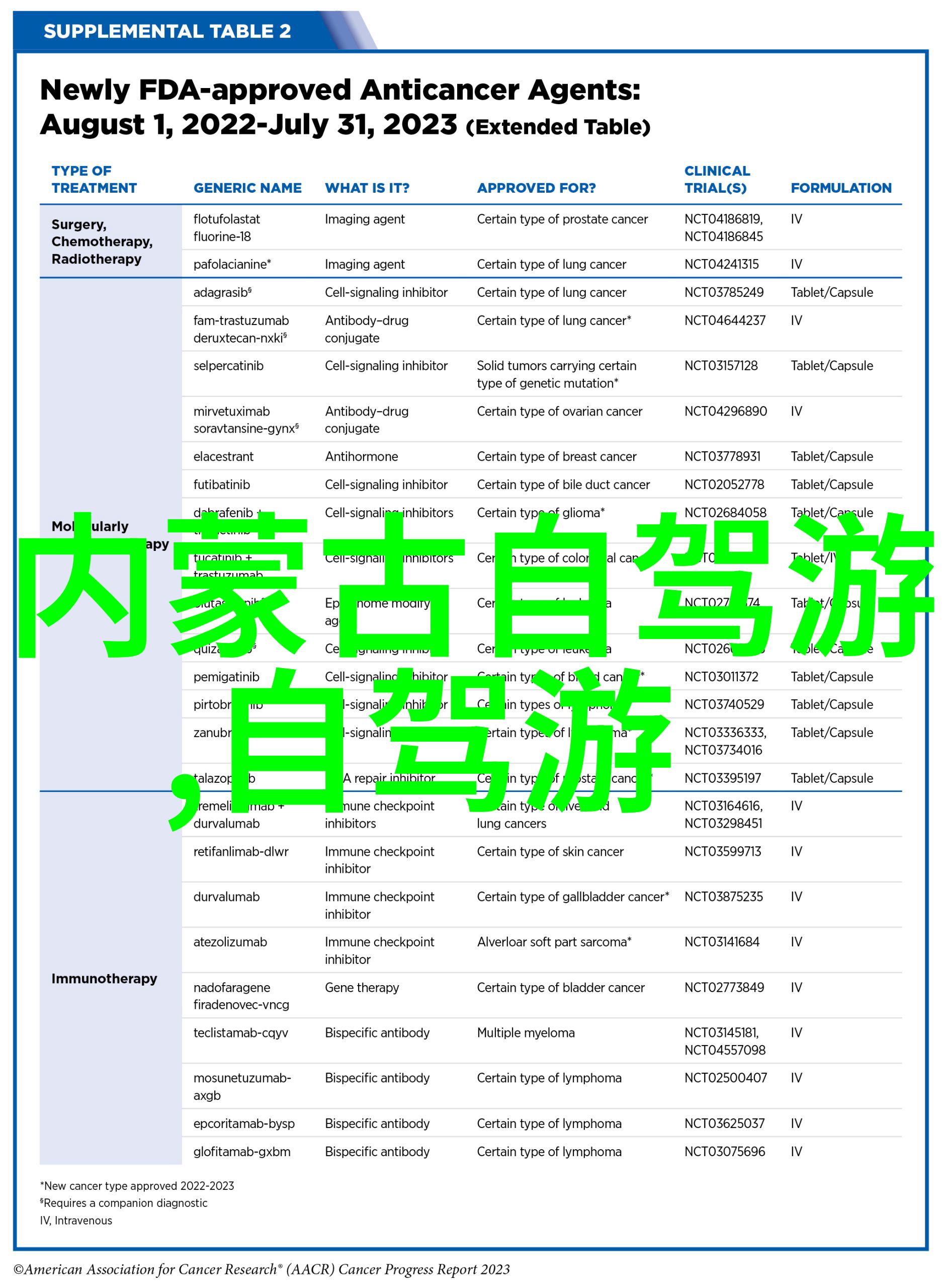 吉林雾凇岛爬山游记作文800字初二作文攻略