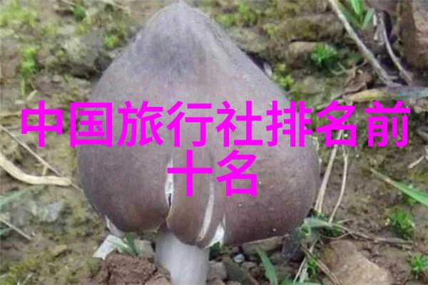 中国的春节传统节庆风俗之美