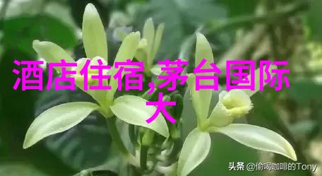 老北京味道寻踪追溯小吃传统