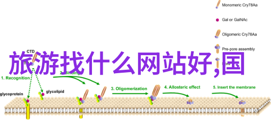 哪些必不可少的装备和物品应该带上我要踏上我的四川之旅