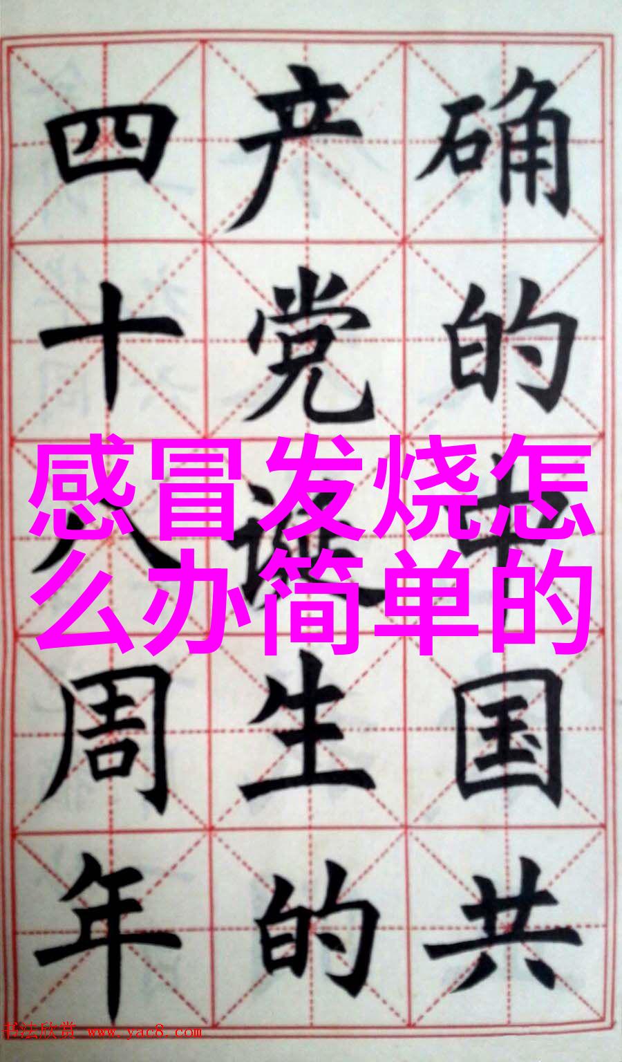 东莞鑫隆水上乐园游玩攻略