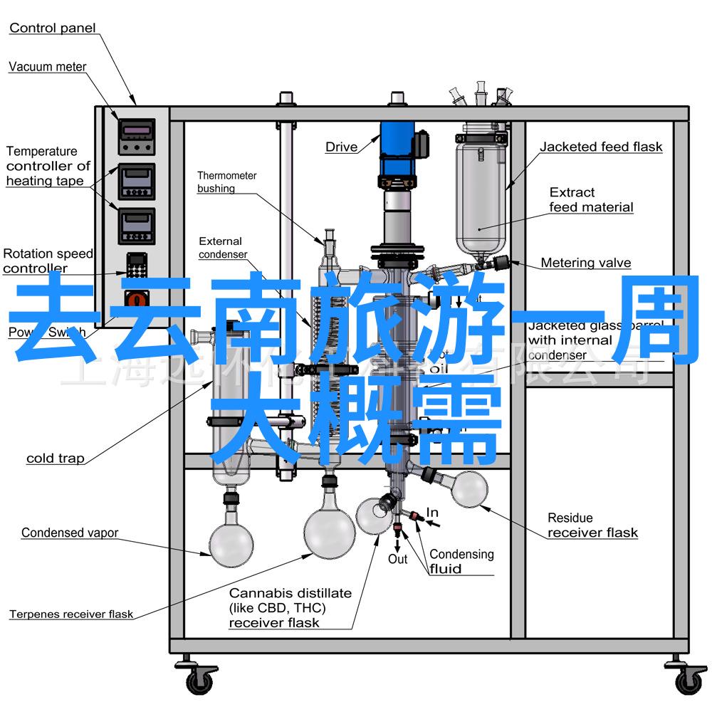 探索未知的世界我在科幻主题公园中的冒险