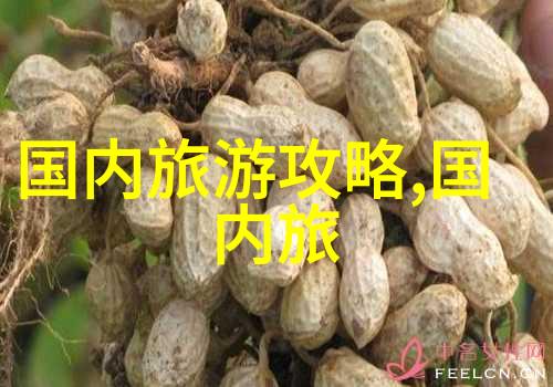 江苏菜的现代诠释如何看待今日江苏省会的特色美食