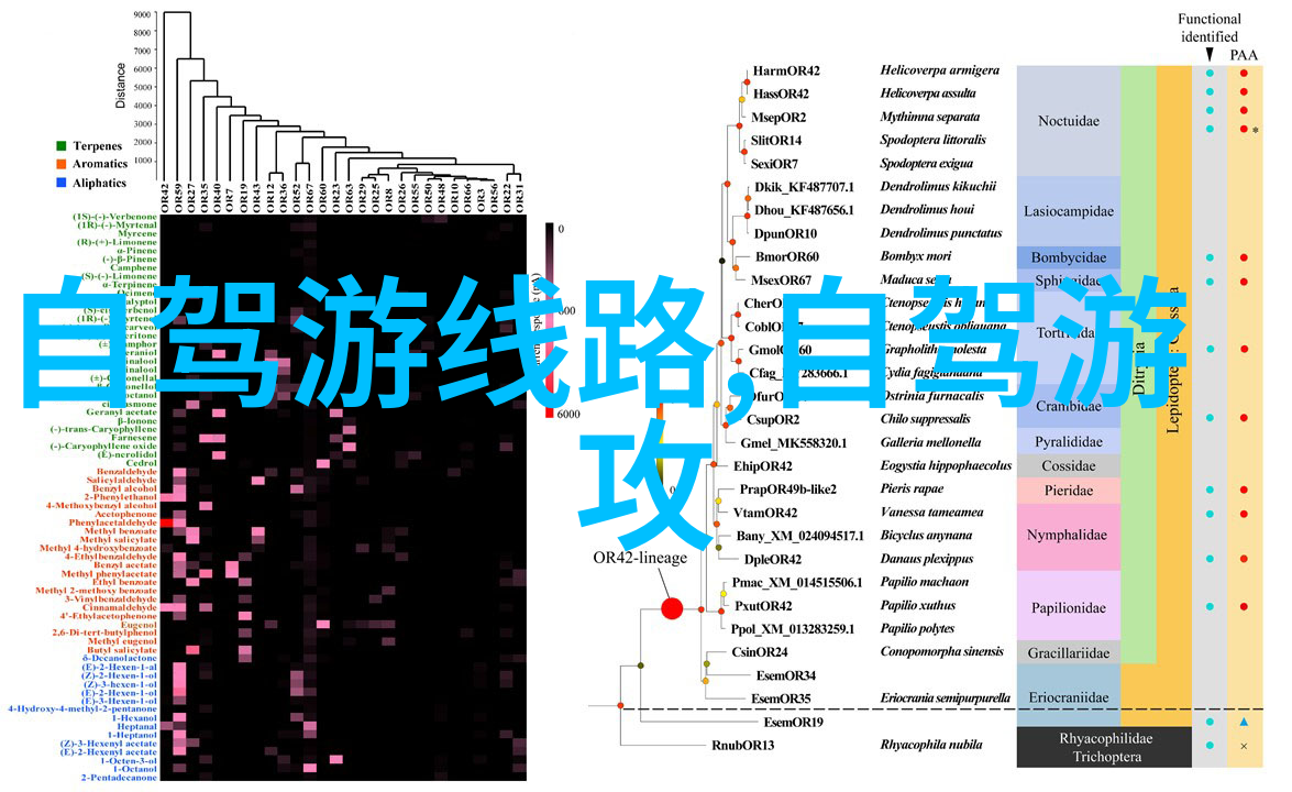 春节游记探秘四大美景区的传统文化与现代魅力