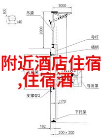 公园游记-春日踏青的愉悦时刻