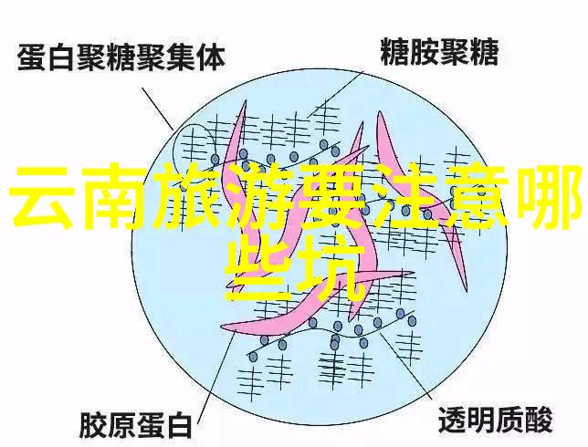 香港豪华与隐秘探索繁华背后的好客