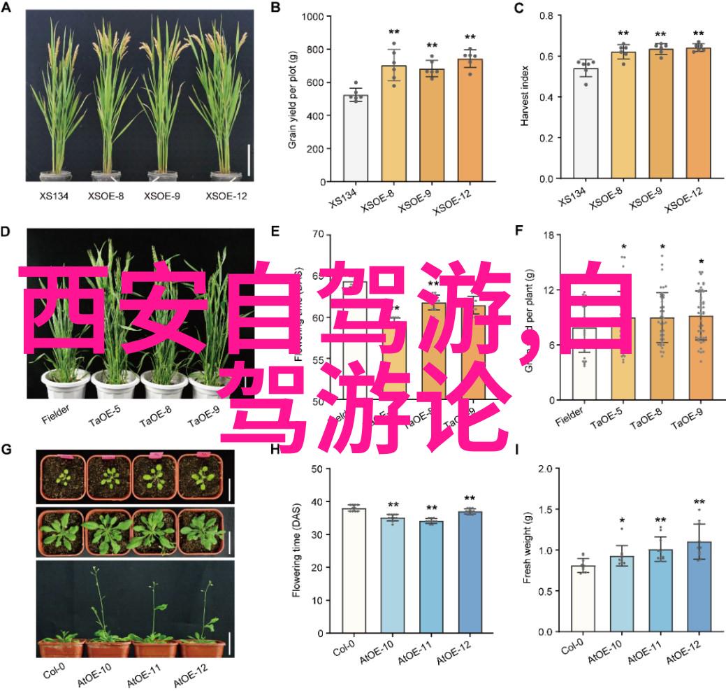 主题我看了最新的疫情政策消息